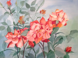 30 x 38 Gallery Frame $2500