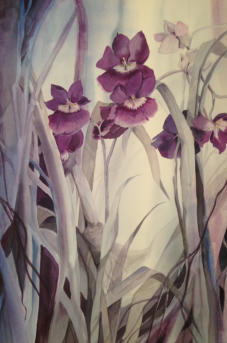 34 x 47 Gallery Frame $4800